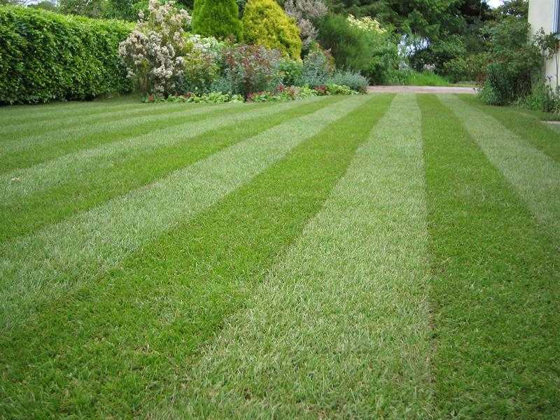 Lawn mowing and general garden maintenance.