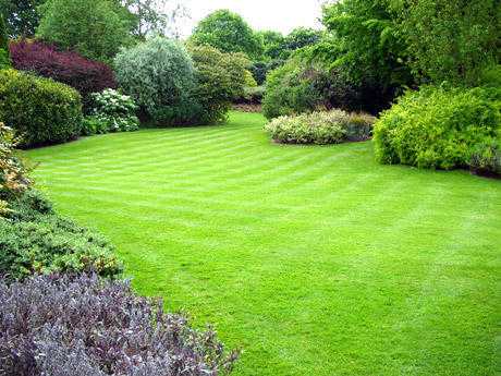 Lawn mowing and general garden maintenance.