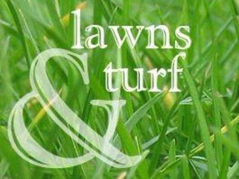 Lawns amp Turf Landscaping and Maintenance