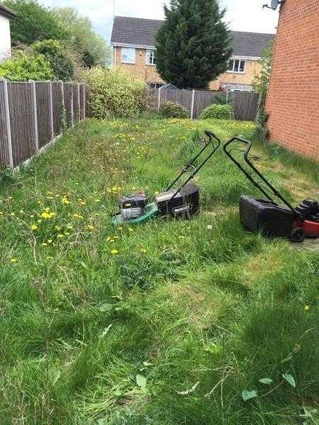 Lawns grass hedge Cut Cheap Southend Area