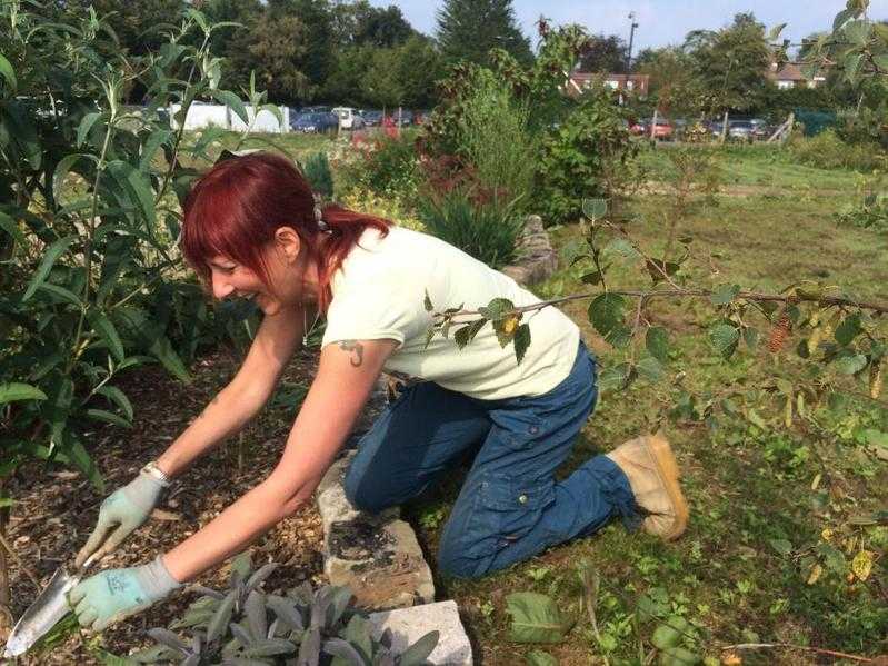 Leaf and Seed Garden Maintenance