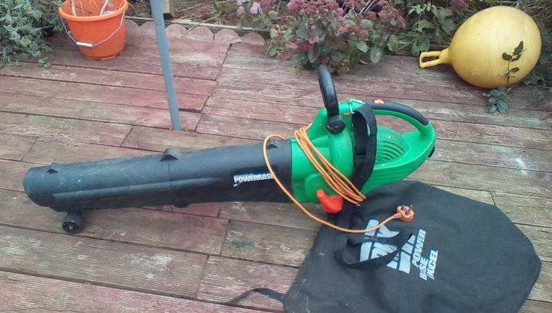 Leaf blower