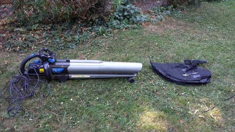 Leaf vac and blower - good condition