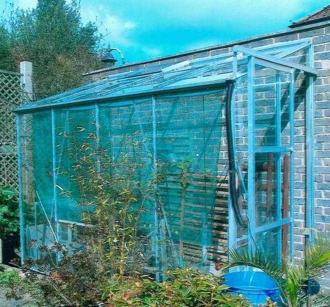 Lean to greenhouse