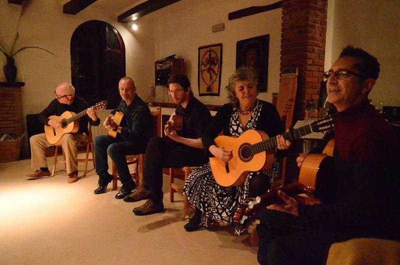 Learn Flamenco Guitar or dance in Spain (2016 June 4-11th)