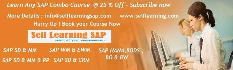 Learn SAP Combo Course Now  25  off