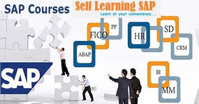 Learn SAP Combo Course Now  25  off