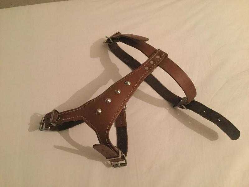 Leather Dog Harness