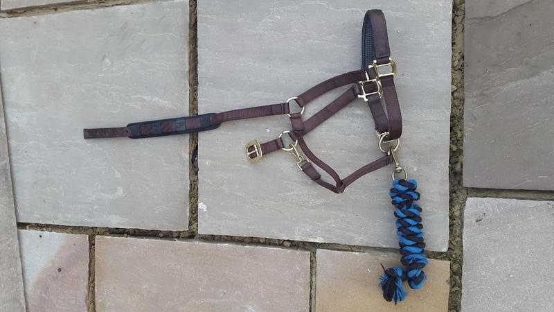 Leather Headcollar and leadrope