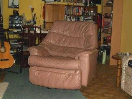 LEATHER RISER RECLINER SPLENDID ARMCHAIR