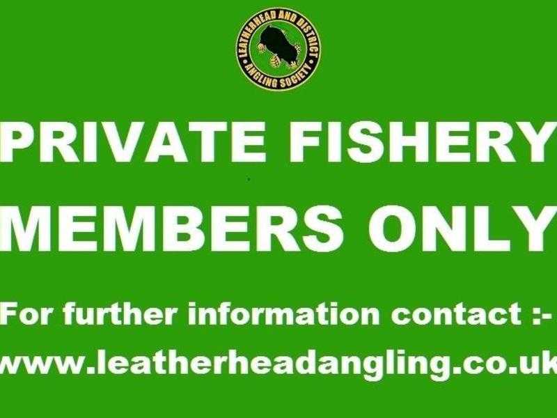 LEATHERHEAD amp DISTRICT ANGLING SOCIETY