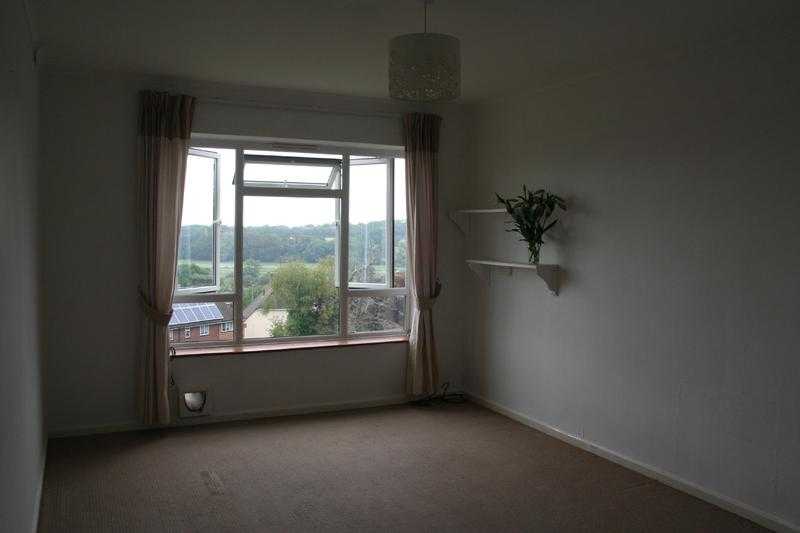 Light 1 bed flat with lovely view in Lewes