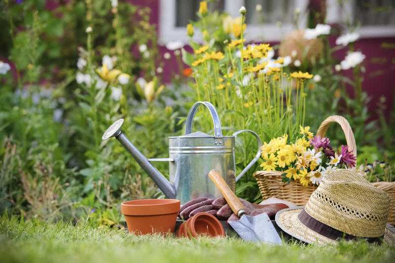 Local Affordable Female Gardener 10ph Milton Keynes