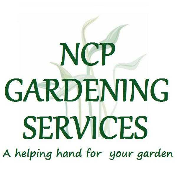 Local gardener, Hemel Hempstead