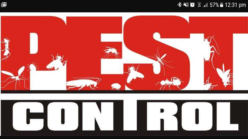 London Pest Control Services - GUARANTEED RESULTS