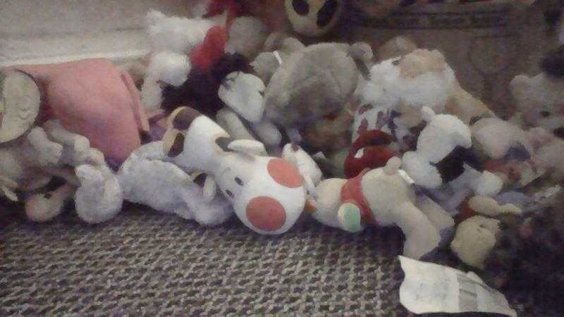 LOTS of teddies