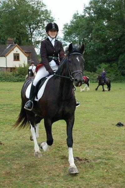 Lovely 15.2 Irish Cob X mare for share