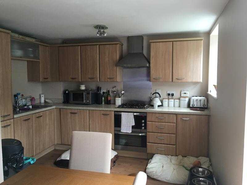 Lovely Double Room in Maidenbower