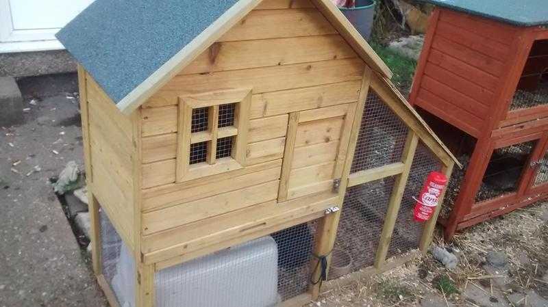 lovely house rabbit hutch