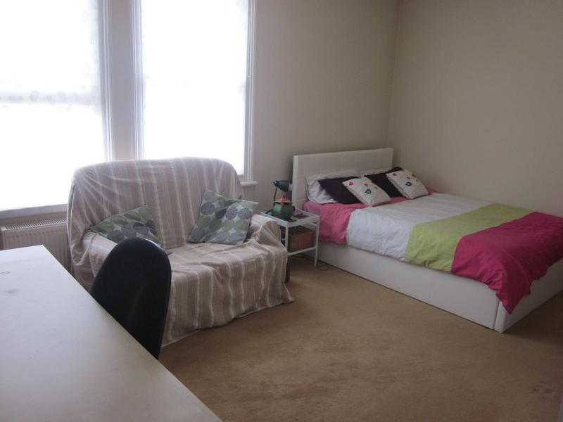 Lovely large and bright double room for the summer (September negotiable)