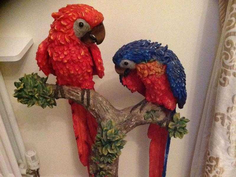 Lovely large parrot garden statue