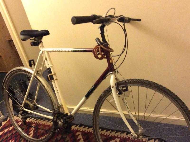 Lovely Light Adult Male Bike 75 ono