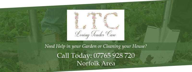 LTC Cleaning and Gardening Services