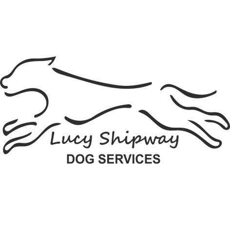 Lucys Dog Services, Clevedon - Dog Walking, sitting and much...