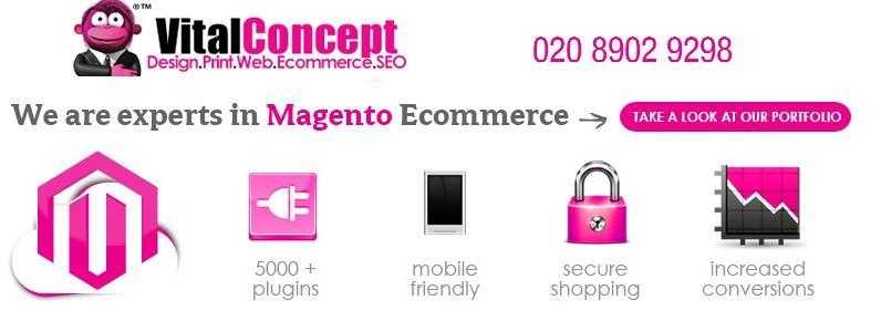 Magento Ecommerce Web design Services