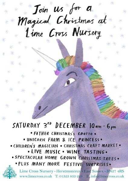 Magical Christmas at Lime Cross Nursery