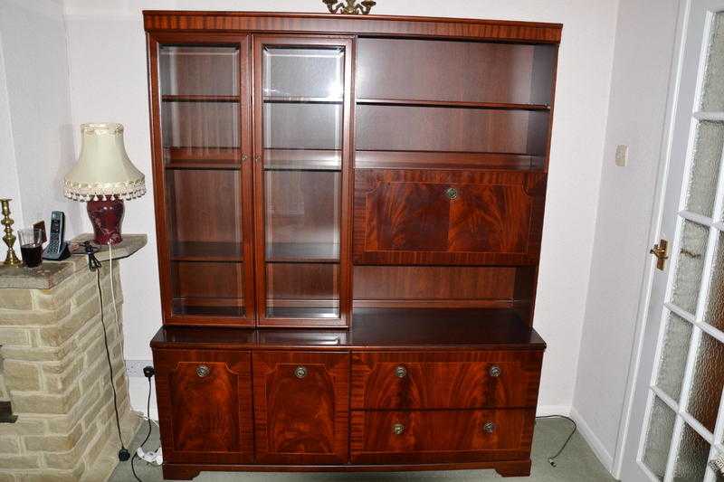 Mahogany Wall Display Unit