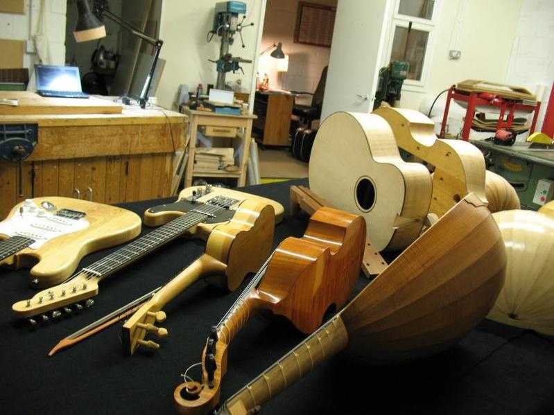 Make your own guitar or other stringed instrument.