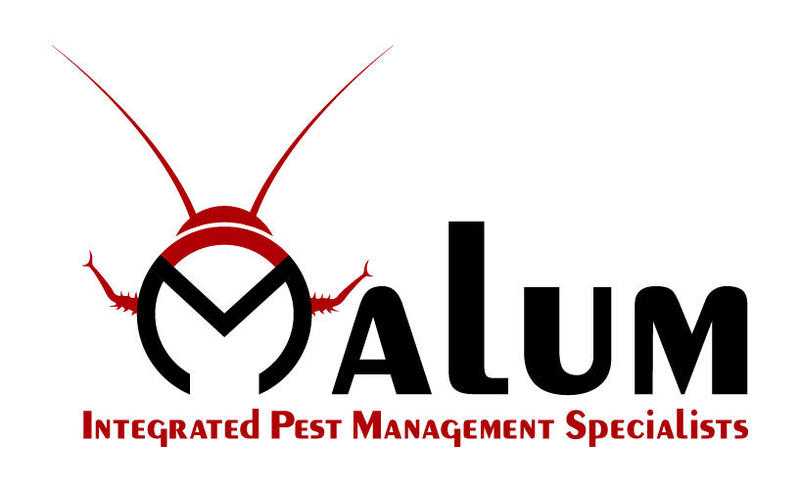 Malum Integrated Pest Management Specialists