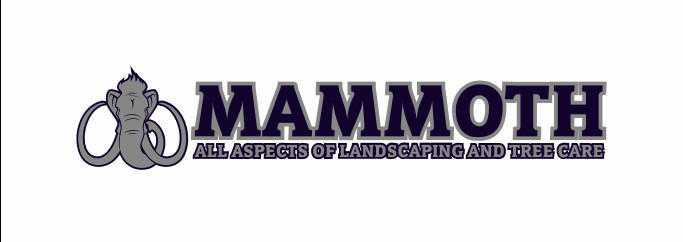 Mammoth services Ltd