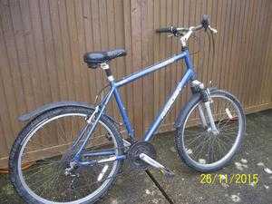 Man039s Raleigh Bike  5speed gears. to include saddle bag spare tyre,pump and inner tube