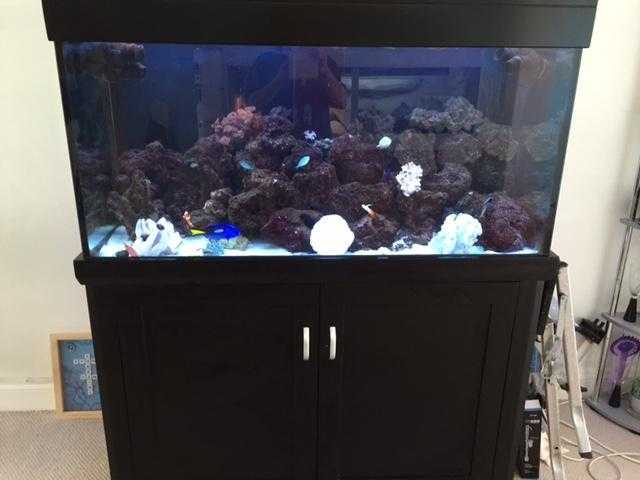 Marine Set up Aqua Reef 400