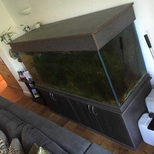 Marine Tank Set up