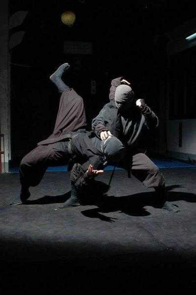 Martial arts- Ninjutsu