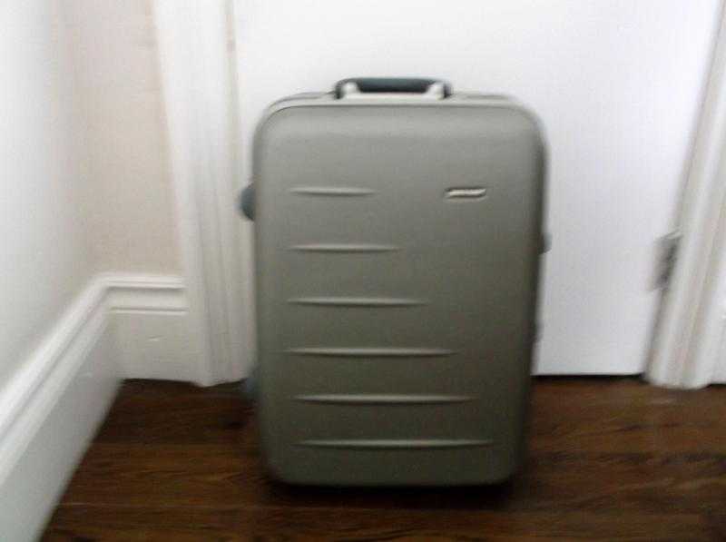 Medium to large luggage case.