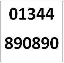 Memorable Telephone Number - Bracknell 01344890890