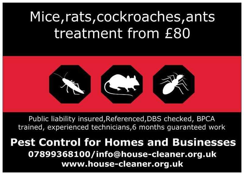 Mice, Rats, Cockroaches, Bedbugs extermination 100 guarantee or money back