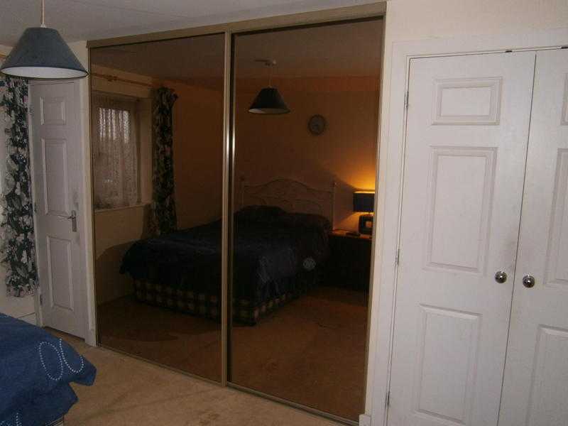 Mirror wardrobe door