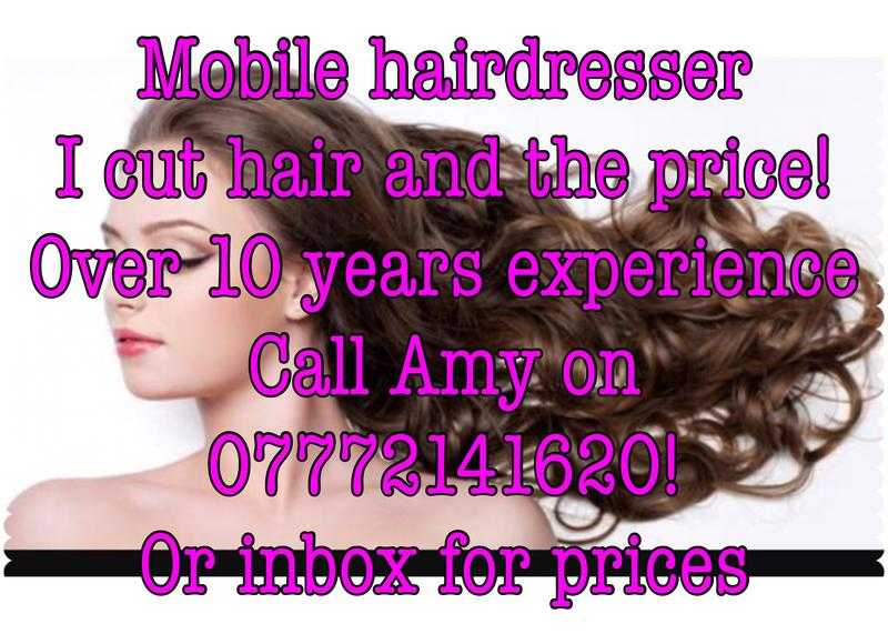 Mobile hairdresser 10 years experience amp low prices  Contact me for more details