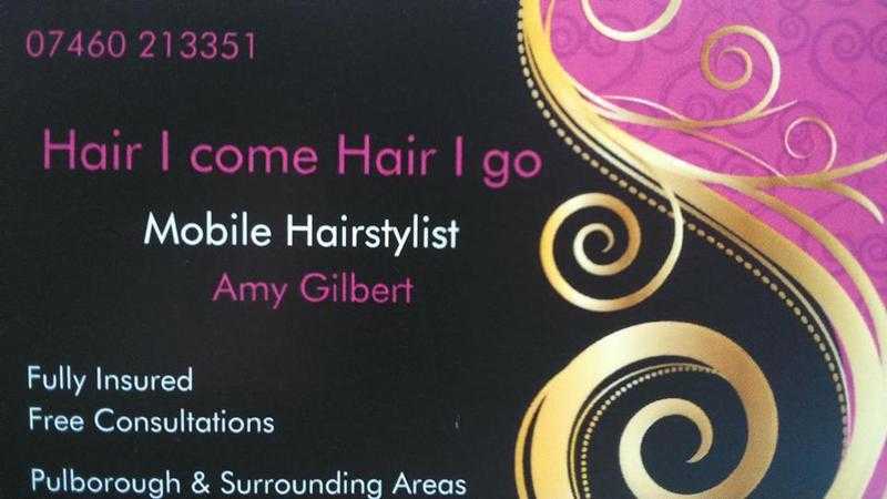 Mobile hairdresser offering services in Pulborough12 mile radius, fully qualified and insured