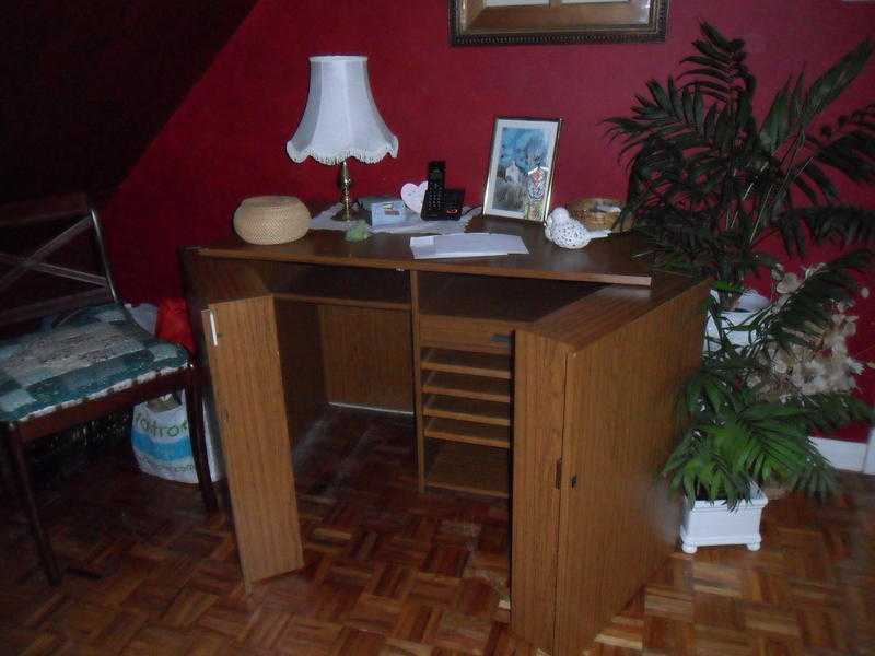 Modern writing desk with storage