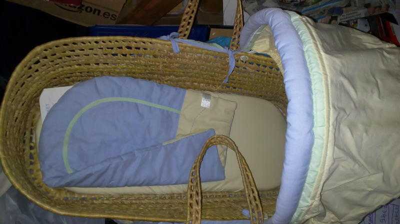 Moses basket