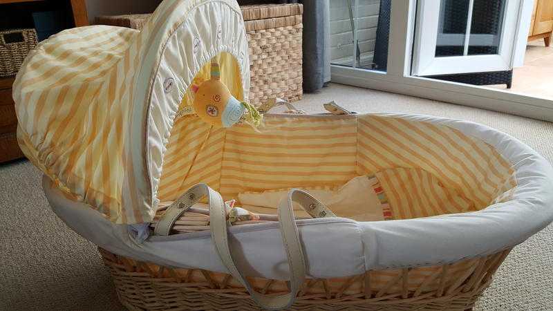 Moses Basket