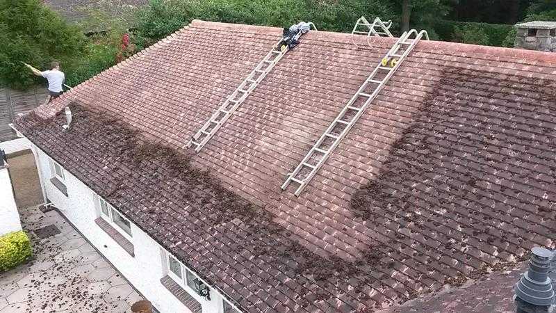 Moss Removal specialists and roof repair complete exterior cleaning