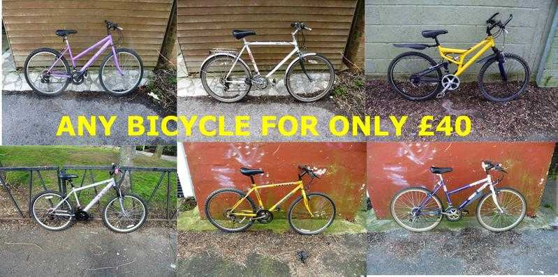 Mountain Bikes BICYCLES For Sale. Ladies amp Gents. Serviced amp Ready To Ride. Various Sizes