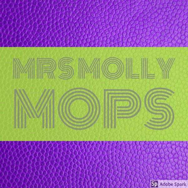 Mrs Molly Maids cleaning services